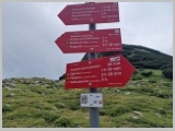 Slika_140.webp