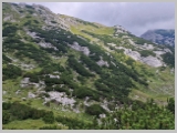 Slika_142.webp