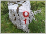Slika_146.webp