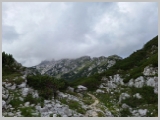 Slika_164.webp