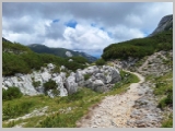Slika_169.webp