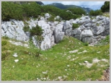 Slika_170.webp