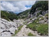 Slika_171.webp