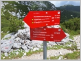 Slika_173.webp
