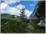 Slika_176.webp