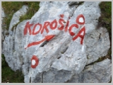 Slika_177.webp