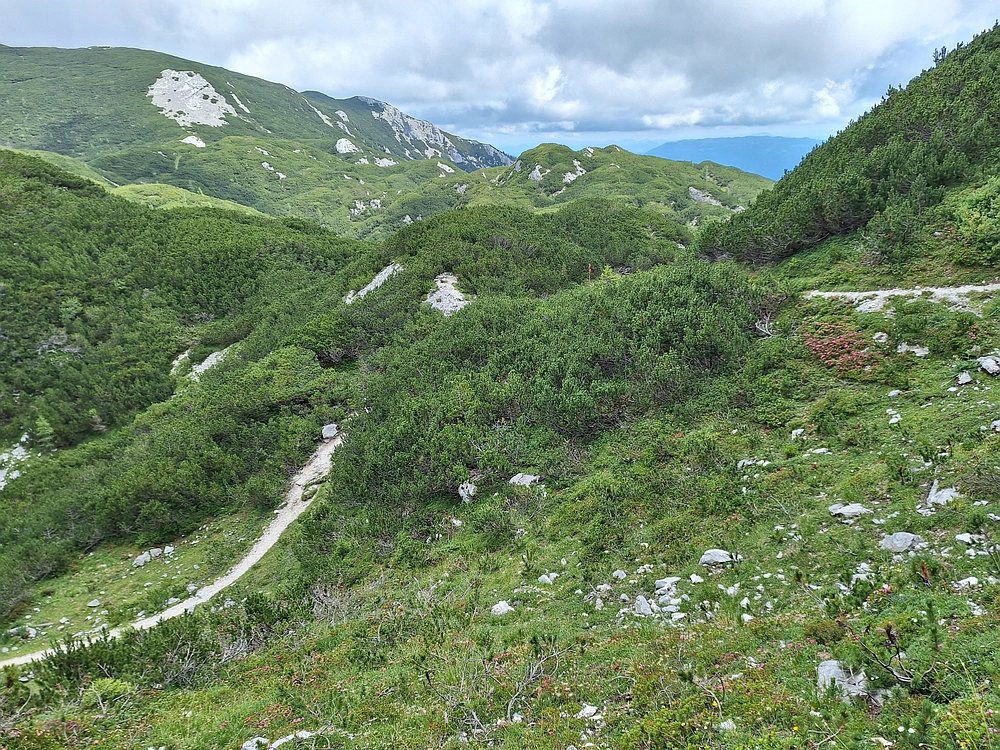 Slika je vidna v Google Chromu.