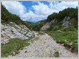 Slika_180.webp