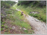 Slika_183.webp