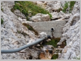 Slika_187.webp