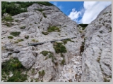 Slika_188.webp