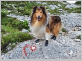 Slika_190.webp