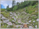 Slika_195.webp