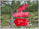 Slika_196.webp