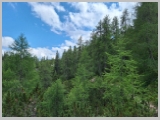 Slika_200.webp
