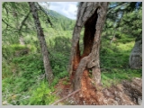 Slika_201.webp