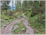 Slika_202.webp