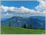 Slika_208.webp