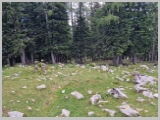 Slika_210.webp