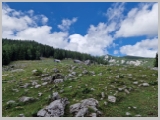 Slika_211.webp