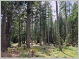Slika_212.webp