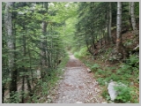 Slika_005.webp
