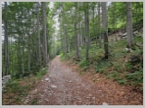 Slika_006.webp