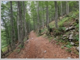 Slika_007.webp