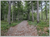 Slika_017.webp