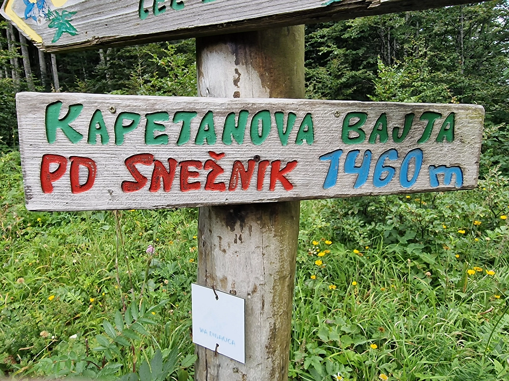 Slika je vidna v Google Chromu.