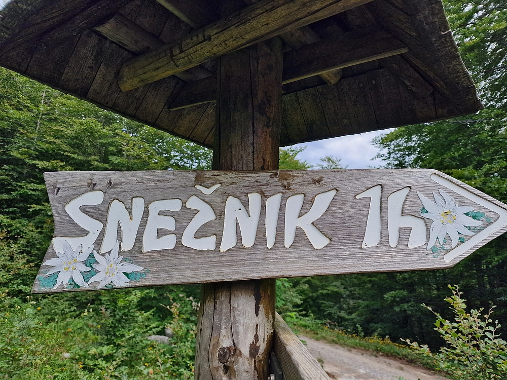 Slika je vidna v Google Chromu.
