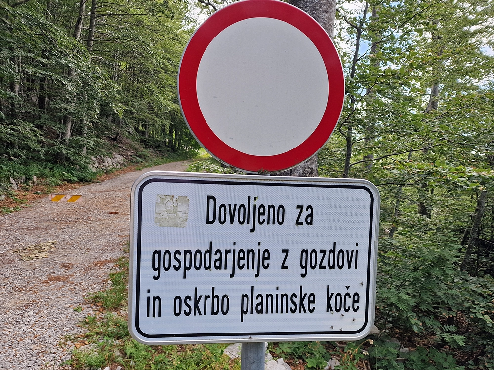 Slika je vidna v Google Chromu.