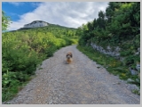 Slika_032.webp