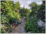 Slika_038.webp
