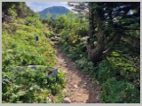 Slika_039.webp