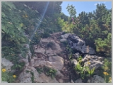 Slika_044.webp