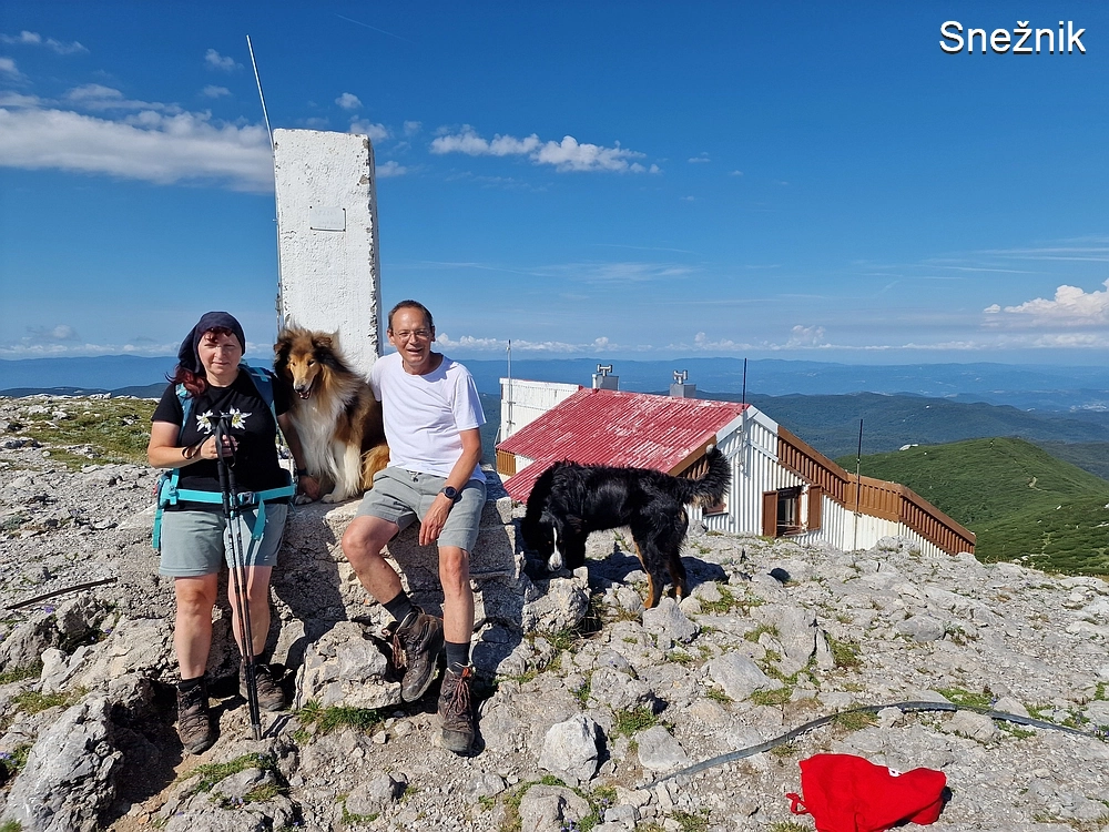 Slika je vidna v Google Chromu.