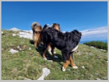 Slika_059.webp