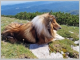 Slika_061.webp