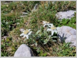 Slika_062.webp