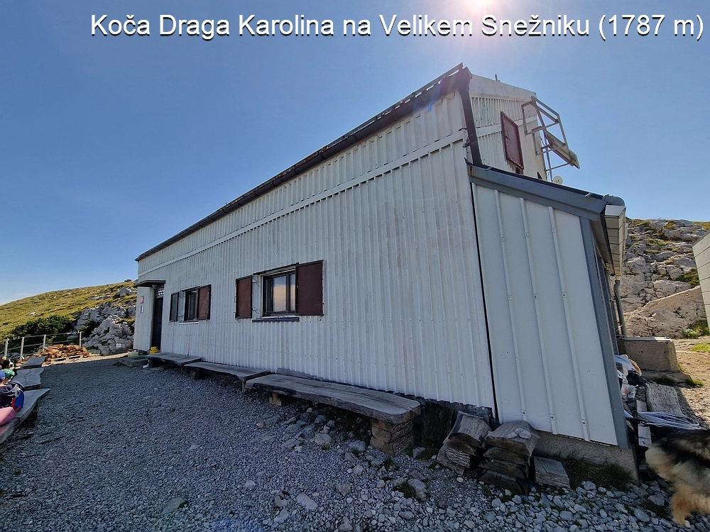 Slika je vidna v Google Chromu.