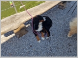 Slika_078.webp