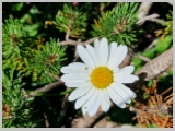 Slika_080.webp