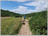 Slika_084.webp