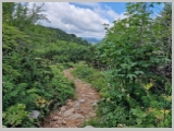 Slika_091.webp