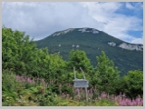 Slika_092.webp