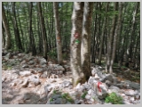 Slika_095.webp