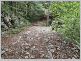 Slika_103.webp