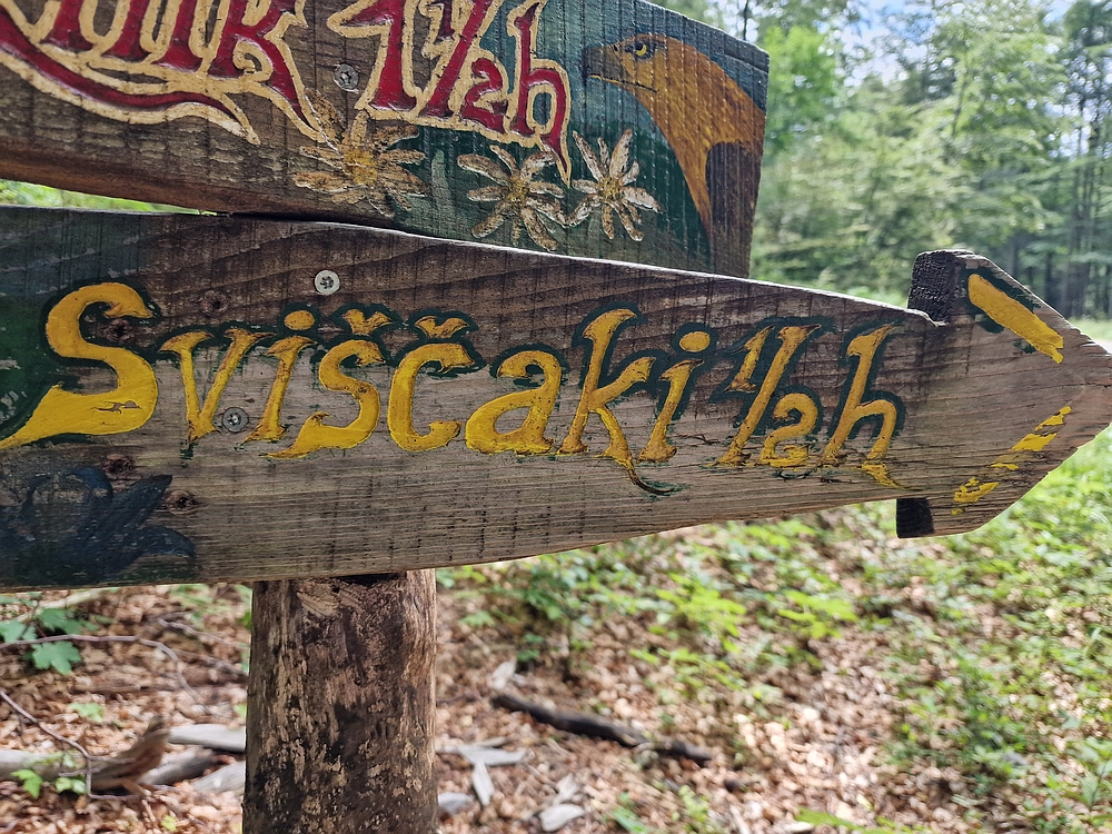 Slika je vidna v Google Chromu.