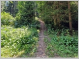 Slika_002.webp